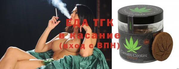молекула духа Богородицк