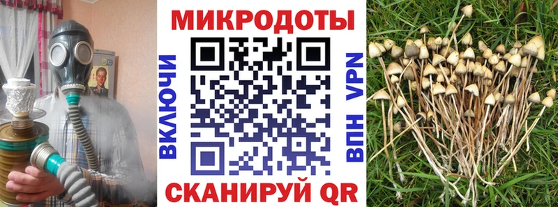 Купить где  Наро-Фоминск  Псилоцибиновые грибы Magic Shrooms 
